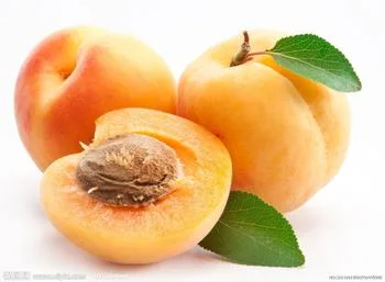 High Quality Apricot Kernel Extract Vitamin B17 100mg 500mg OEM
