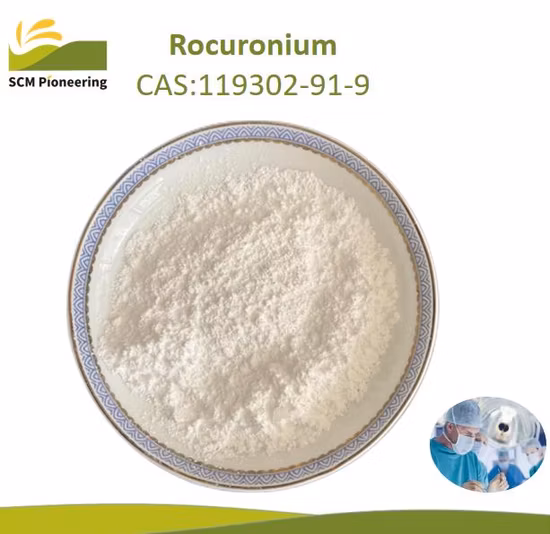 Pharmaceutical Chemical Muscle Relaxant Rocuronium API